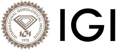 IGI logo